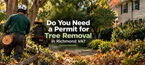 Do You Need a Permit for Tree Removal in Richmond VA?